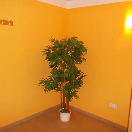 Bed & Breakfast Fruhstuckspension Ronacher 3*